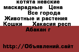 котята невские маскарадные › Цена ­ 18 000 - Все города Животные и растения » Кошки   . Хакасия респ.,Абакан г.